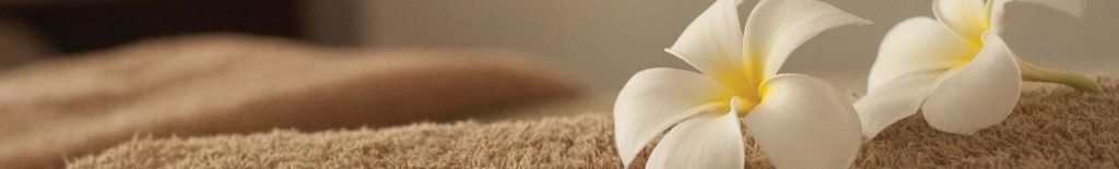 Contact Us, Madame Pomme Beauty Salon